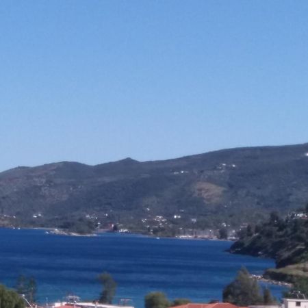 Forest & Sea Apartment Πόρος Εξωτερικό φωτογραφία