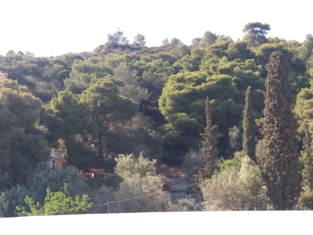 Forest & Sea Apartment Πόρος Εξωτερικό φωτογραφία