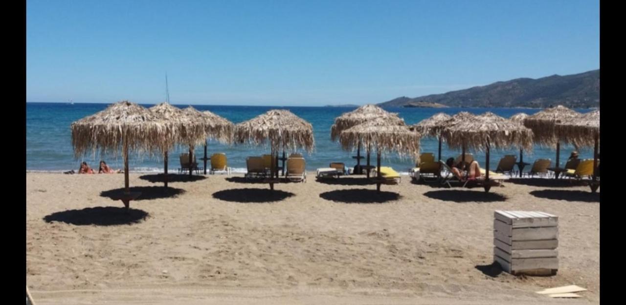 Forest & Sea Apartment Πόρος Εξωτερικό φωτογραφία